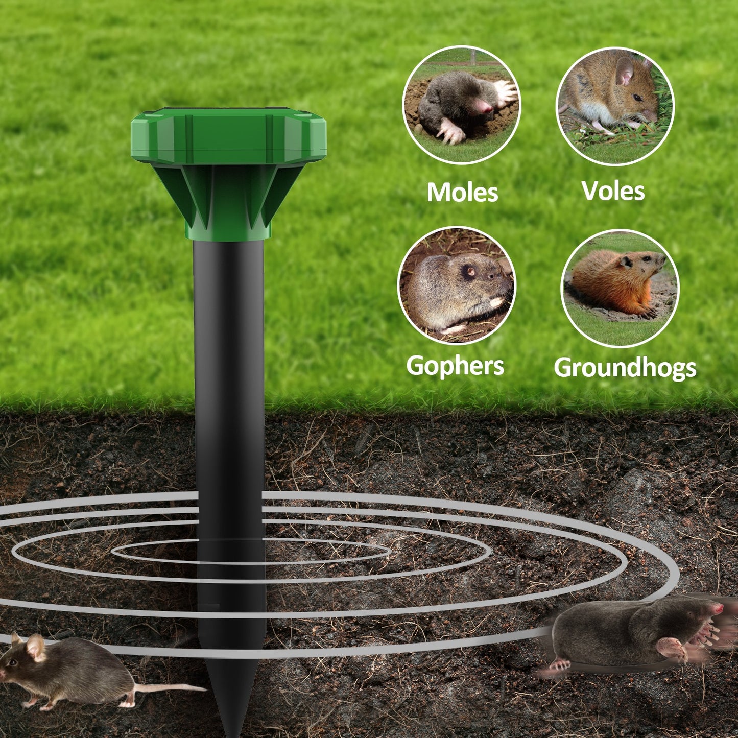 Kevana™ – Repellente Solare Ultrasuoni | Protezione per Giardini, Orti e Aree Esterne da Animali Indesiderati